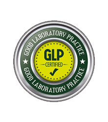 logo 4 A_16752515297063